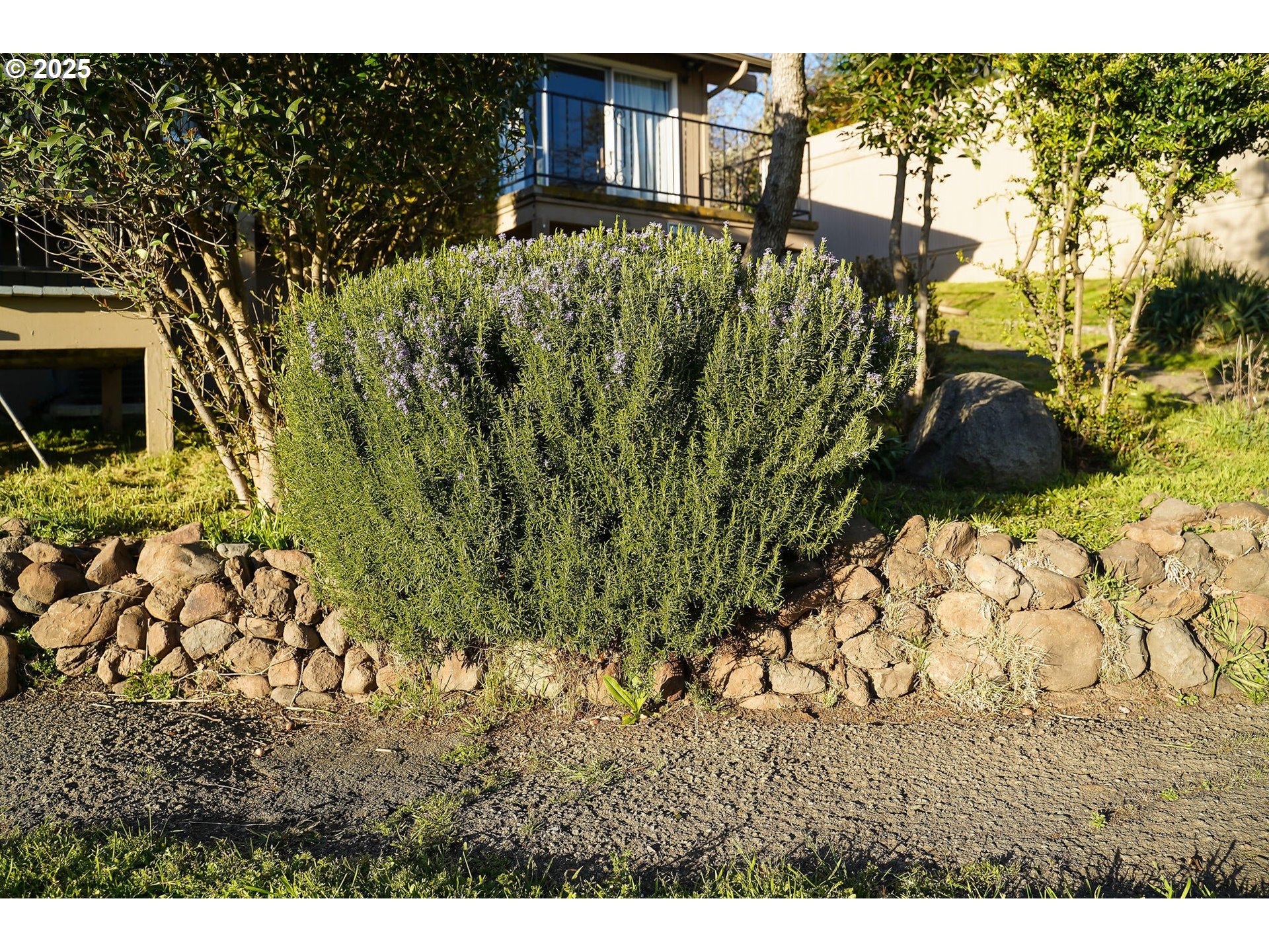 3676 Princeton Way Medford, OR 97504 - Photo 28 of 48