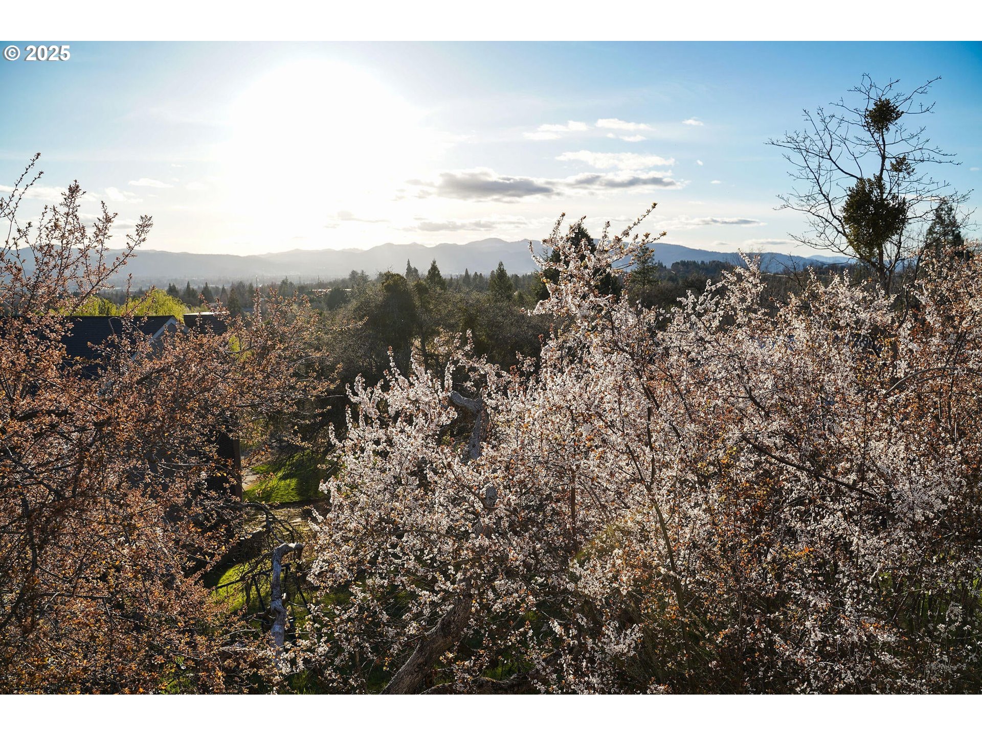 3676 Princeton Way Medford, OR 97504 - Photo 37 of 48