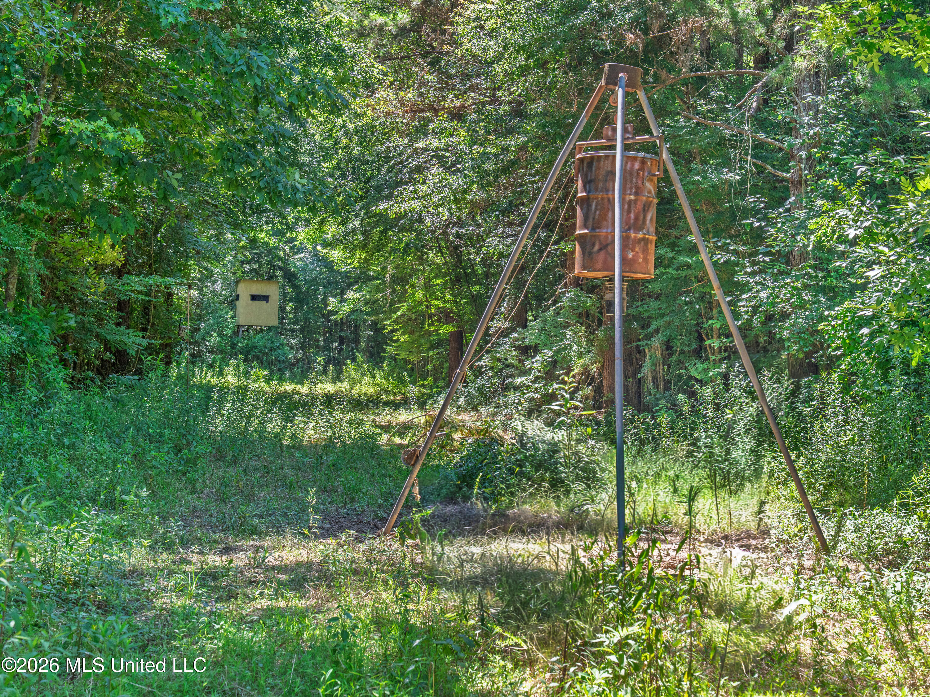 23 Co Road Bay Springs, MS 39422 - Photo 36 of 64 A7403807