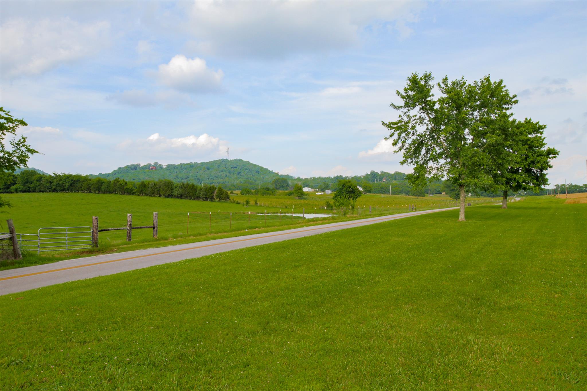 722 Governor Hall Road Castalian Springs, TN 37031 - Photo 20 of 28 Gallery Image 20
