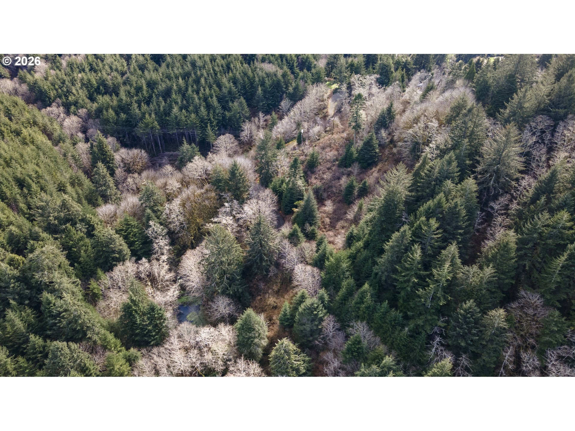 0 Finch Lane North Bend, OR 97459 - Photo 18 of 23