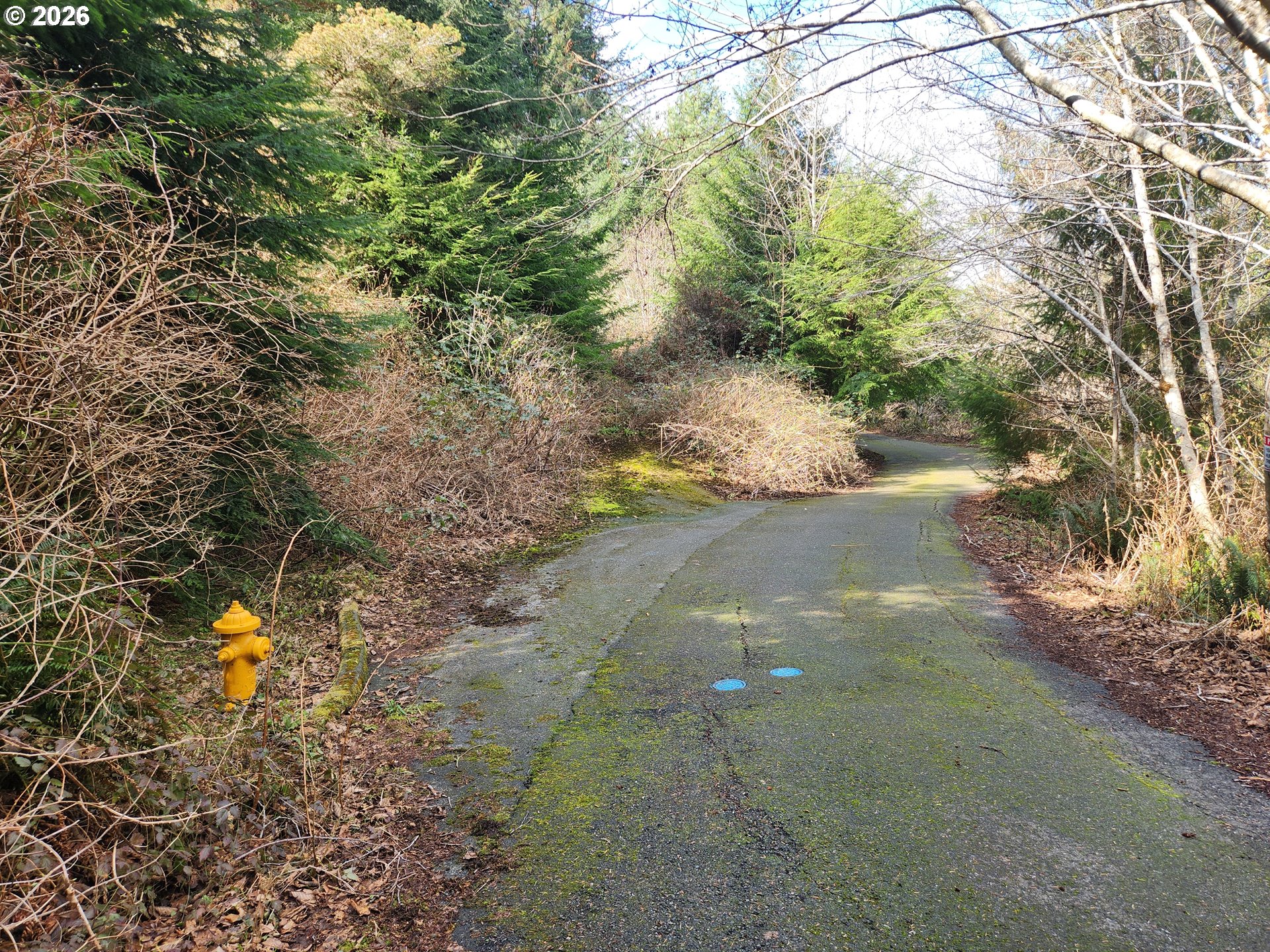 0 Finch Lane North Bend, OR 97459 - Photo 4 of 23