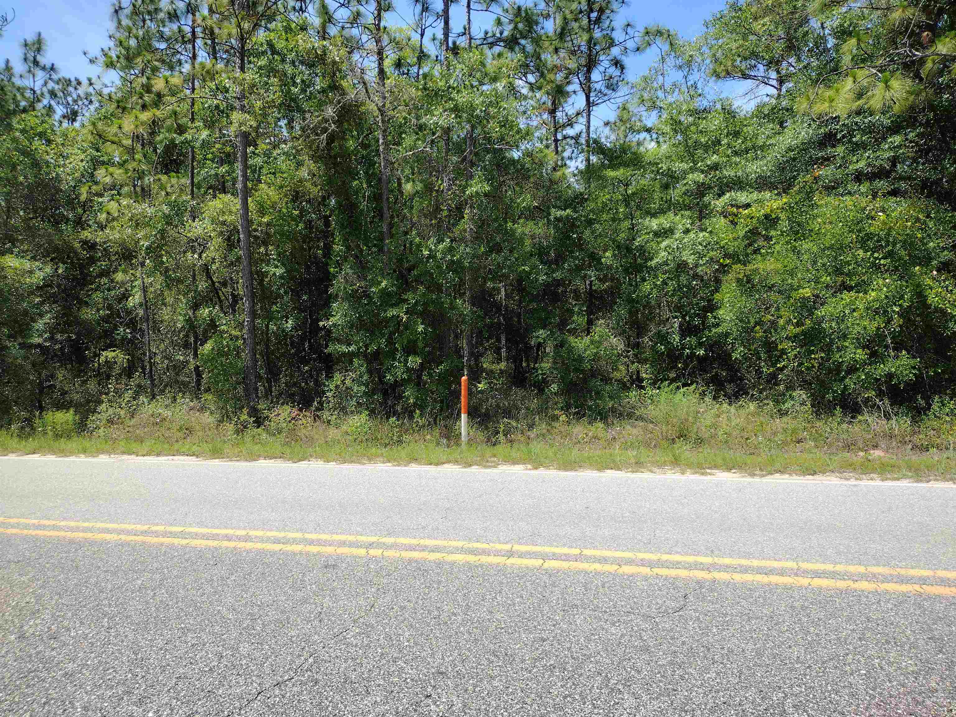 Xx Sadberry Road Quincy, FL 32351 - Photo 6 of 10 Gallery Image 6