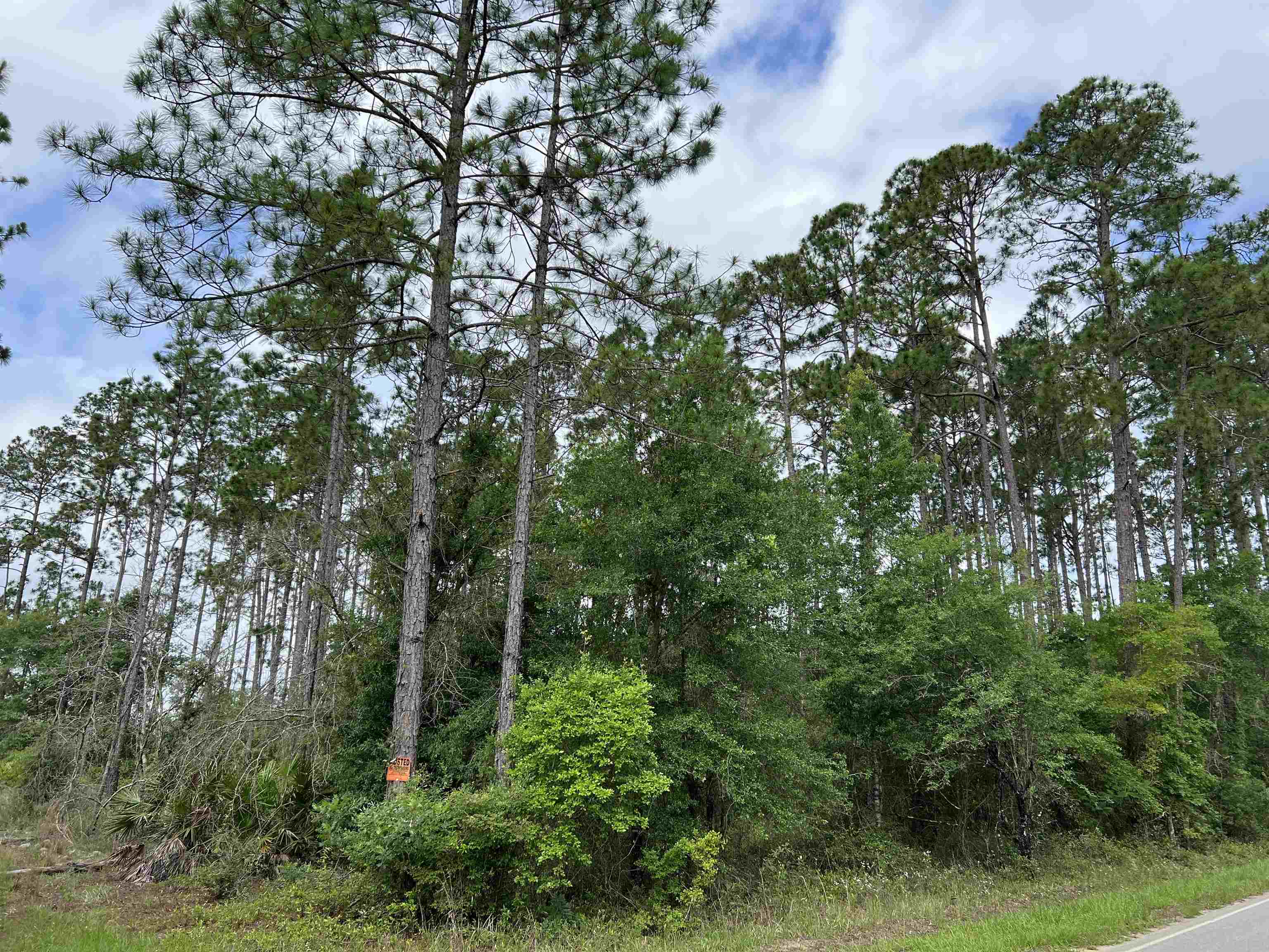 Xx Sadberry Road Quincy, FL 32351 - Photo 8 of 10 Gallery Image 8