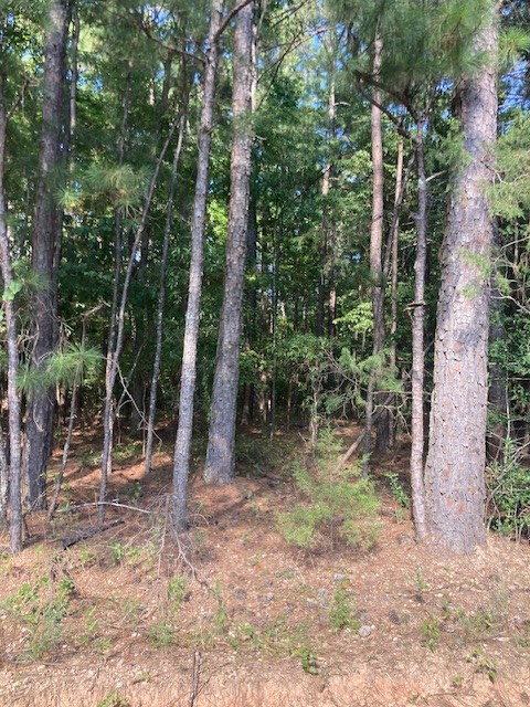 0 New Smith Road Abbeville, SC 29620 - Photo 4 of 8