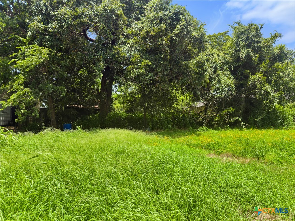 203 Trinity Street Hearne, TX 77859 - Photo 3 of 9