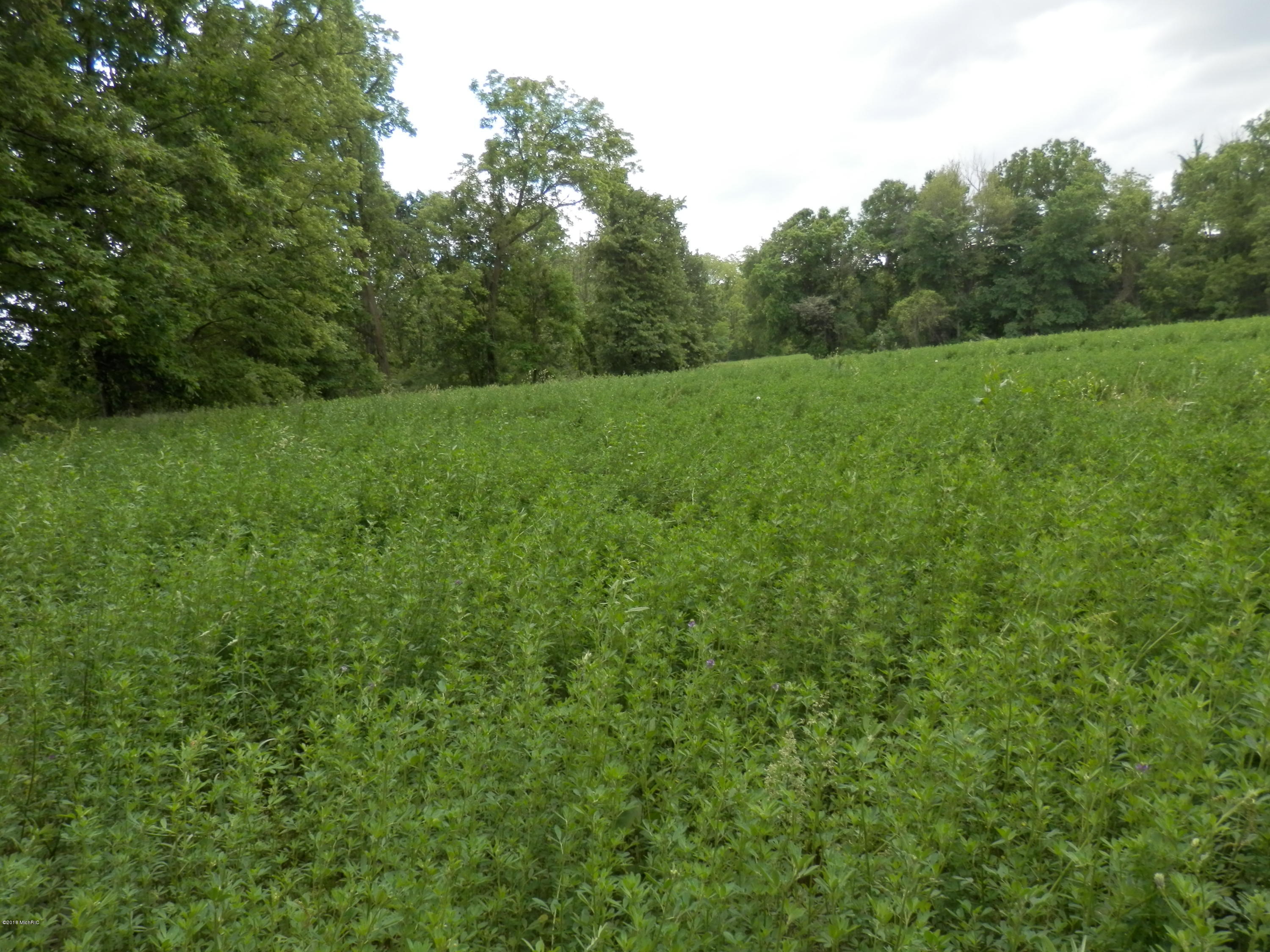 1021 Hurley Road Bronson, MI 49028 - Photo 25 of 26 P5300117