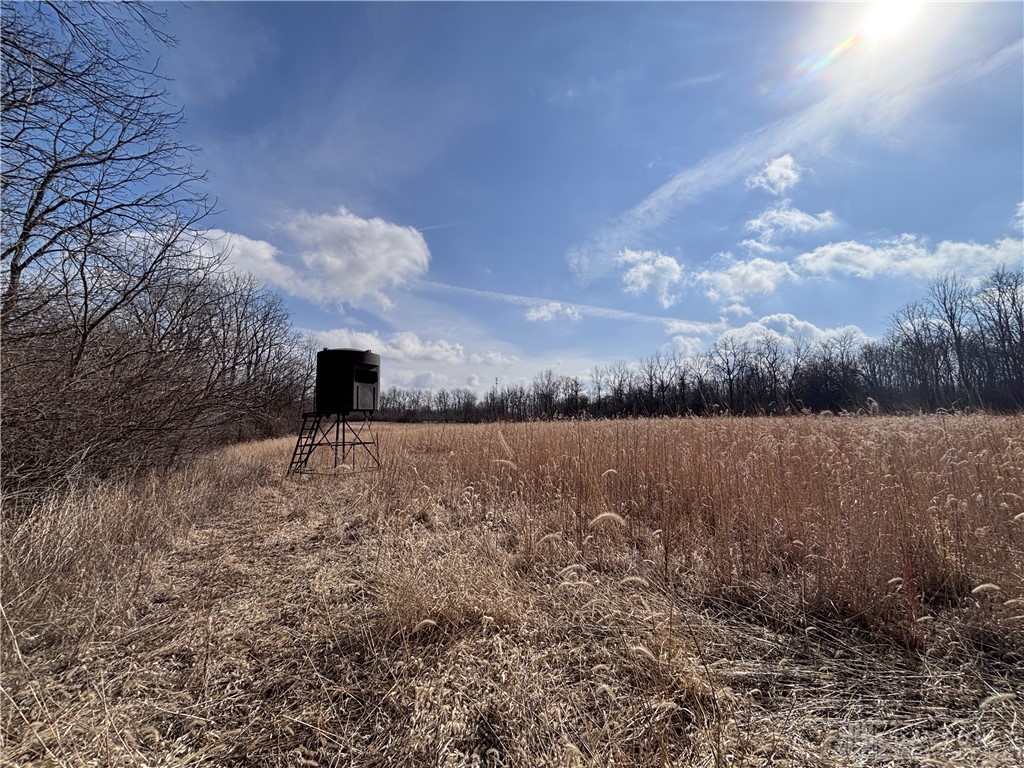 924 Eris Road Urbana, OH 43078 - Photo 43 of 63