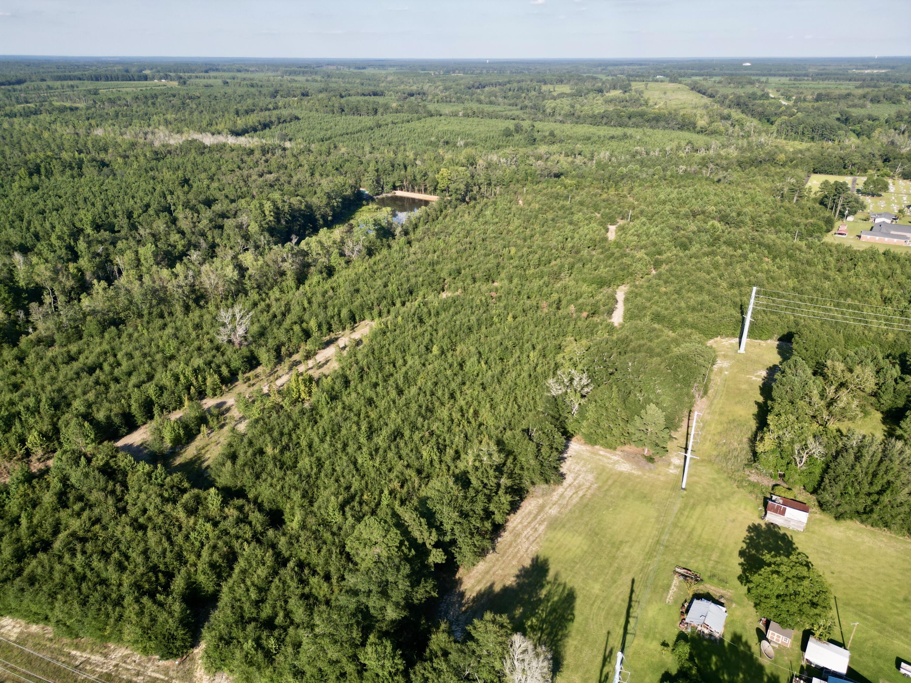 3021 Salley Road Salley, SC 29137 - Photo 48 of 73