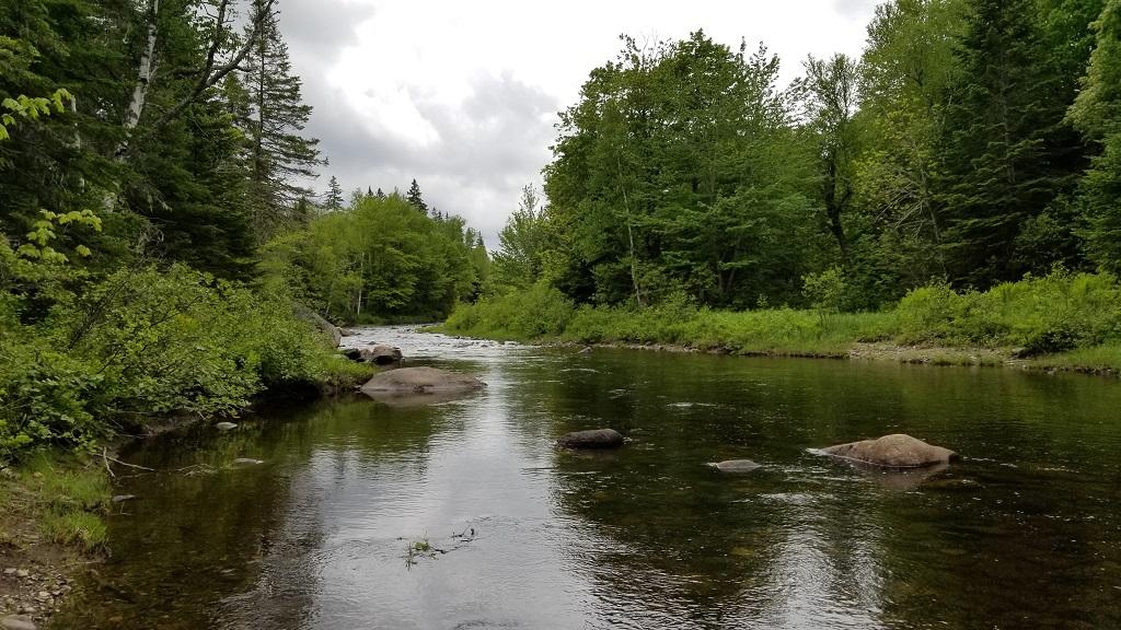 0 Stratton Road Dallas Plt, ME 04970 - Photo 6 of 39 20180607_124553