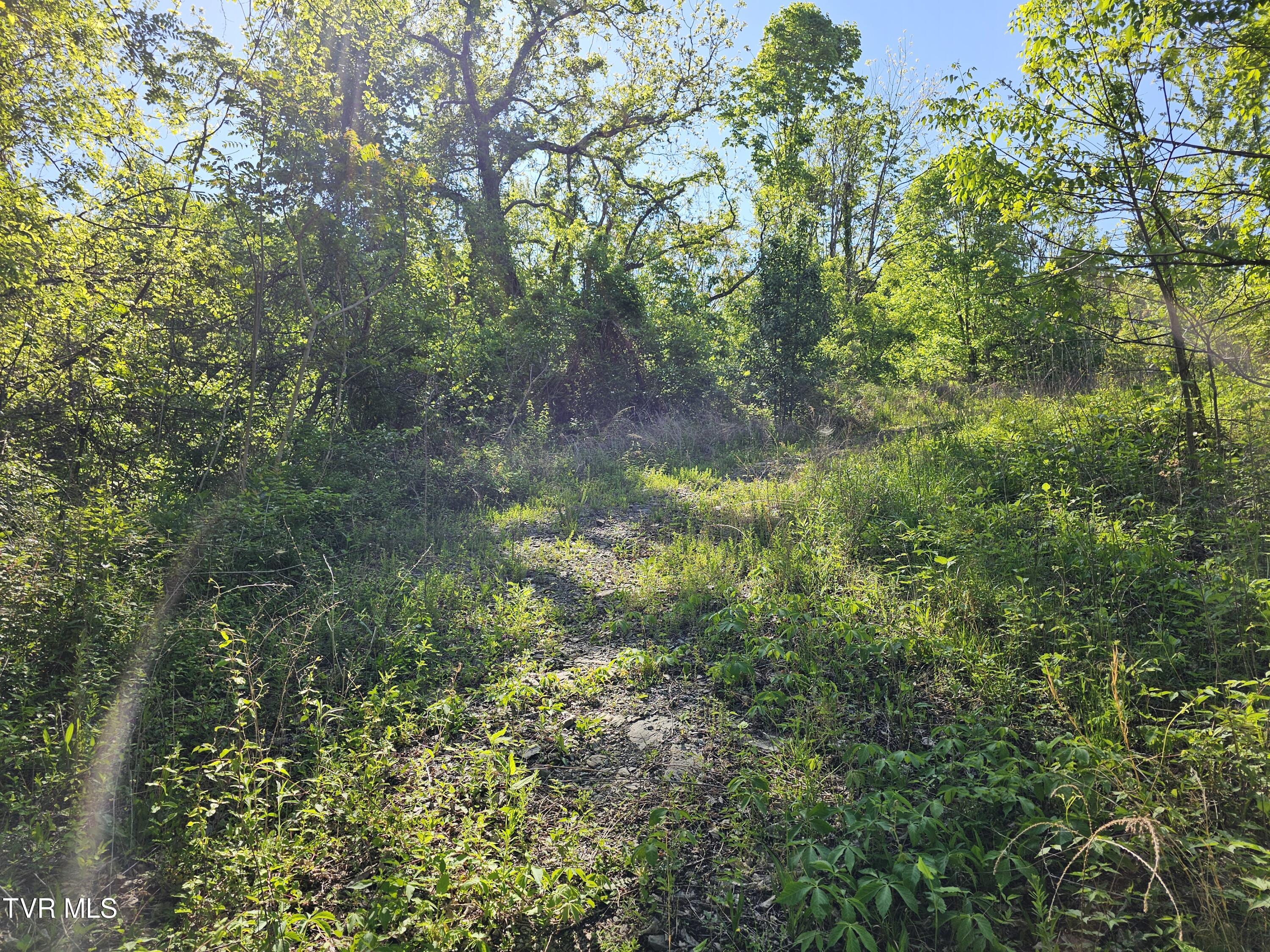 249 Morey Hyder Road Johnson City, TN 37601 - Photo 7 of 22 20240502_095851