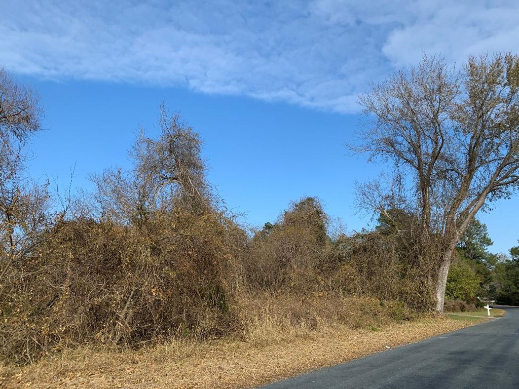 Lot 33 Winterville Road, Unit 33 Bloxom, VA 23308 - Photo 3 of 3