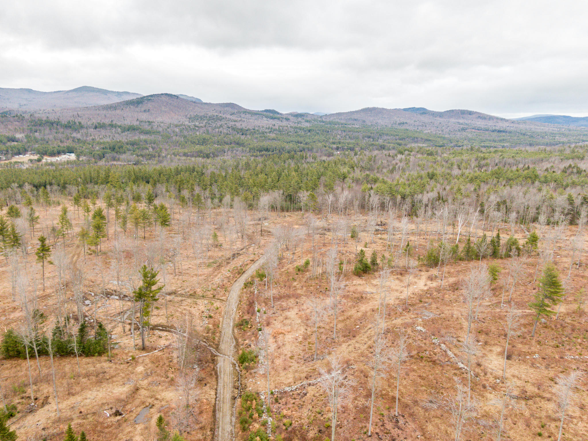 Tbd Swan Hill Road Bethel, ME 04217 - Photo 16 of 20 Swan Hill Lot-18