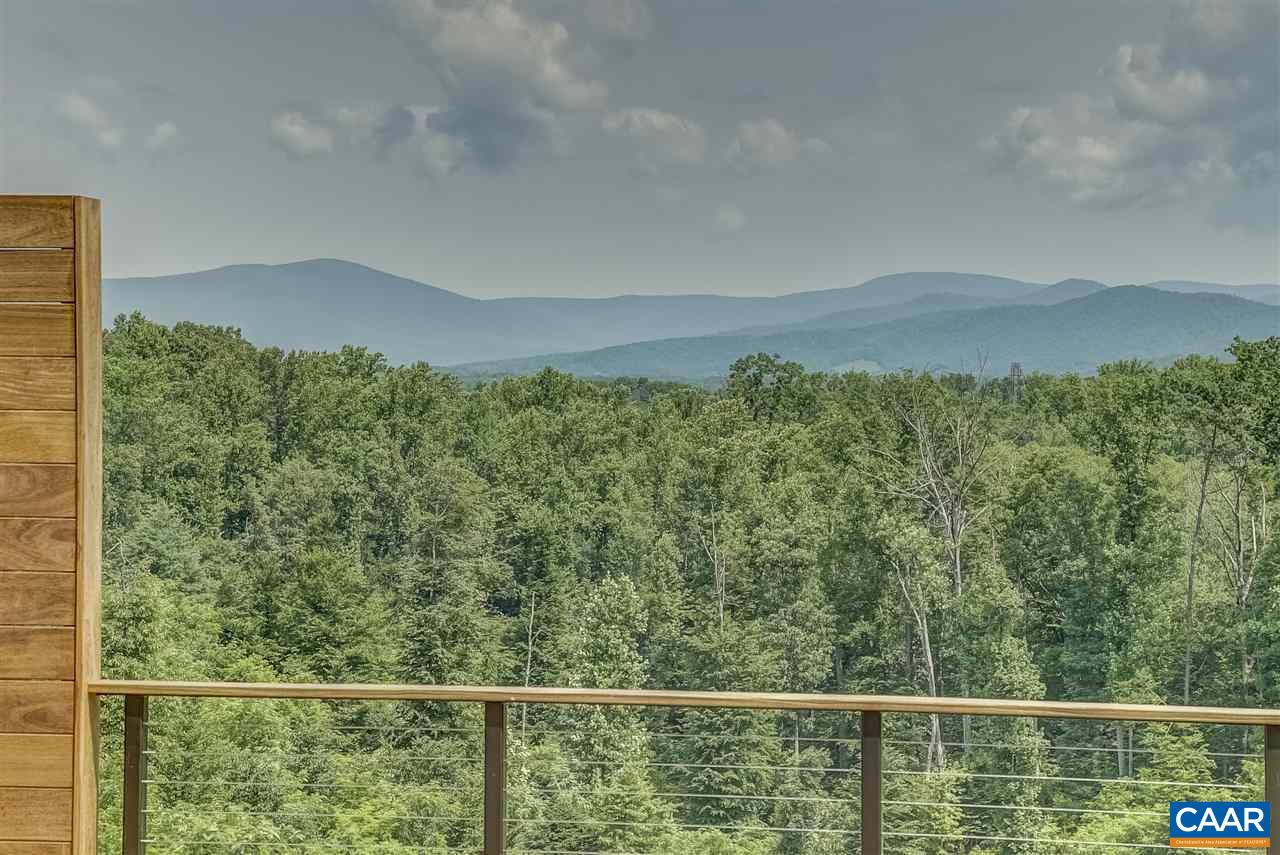 901 Tilman Road Charlottesville, VA 22901 - Photo 15 of 49 a view of a forest