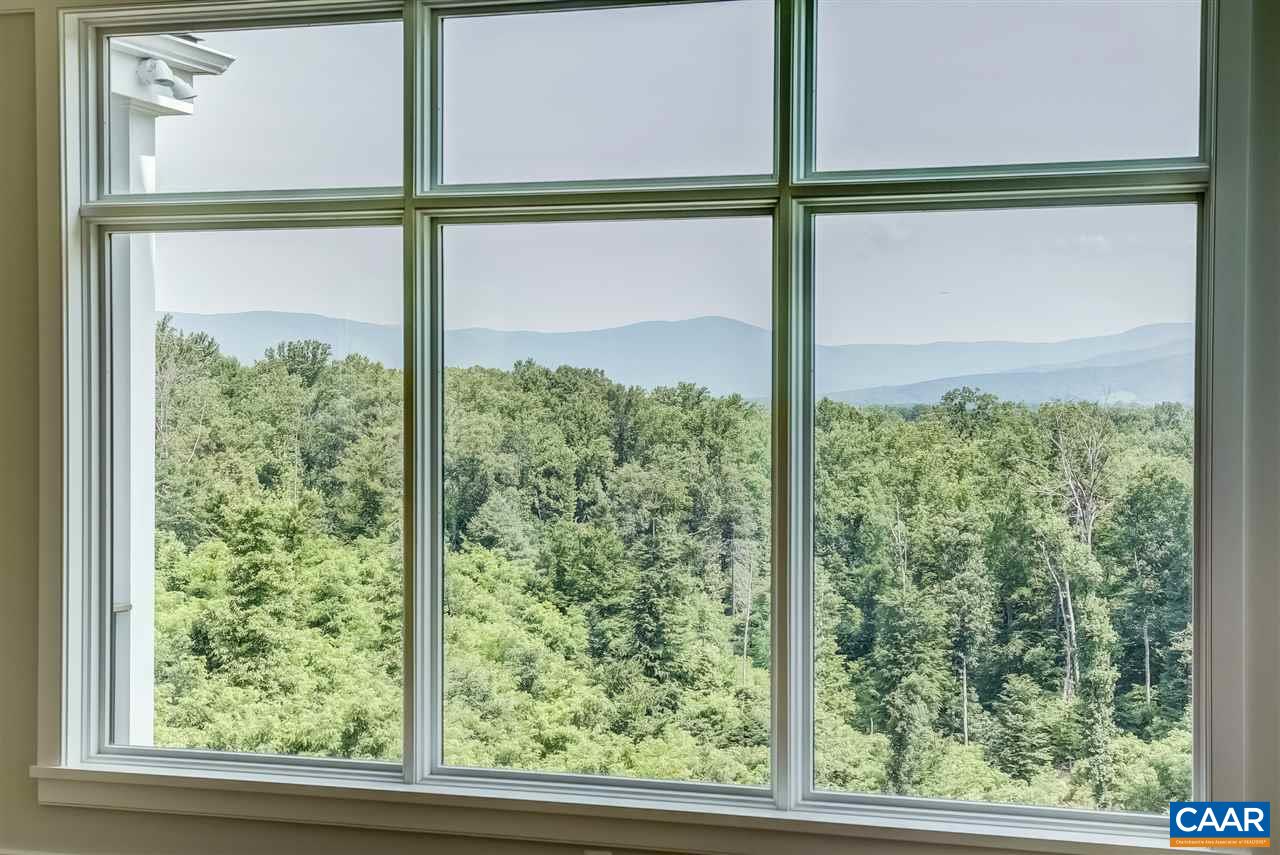901 Tilman Road Charlottesville, VA 22901 - Photo 6 of 49 a view of a room with window