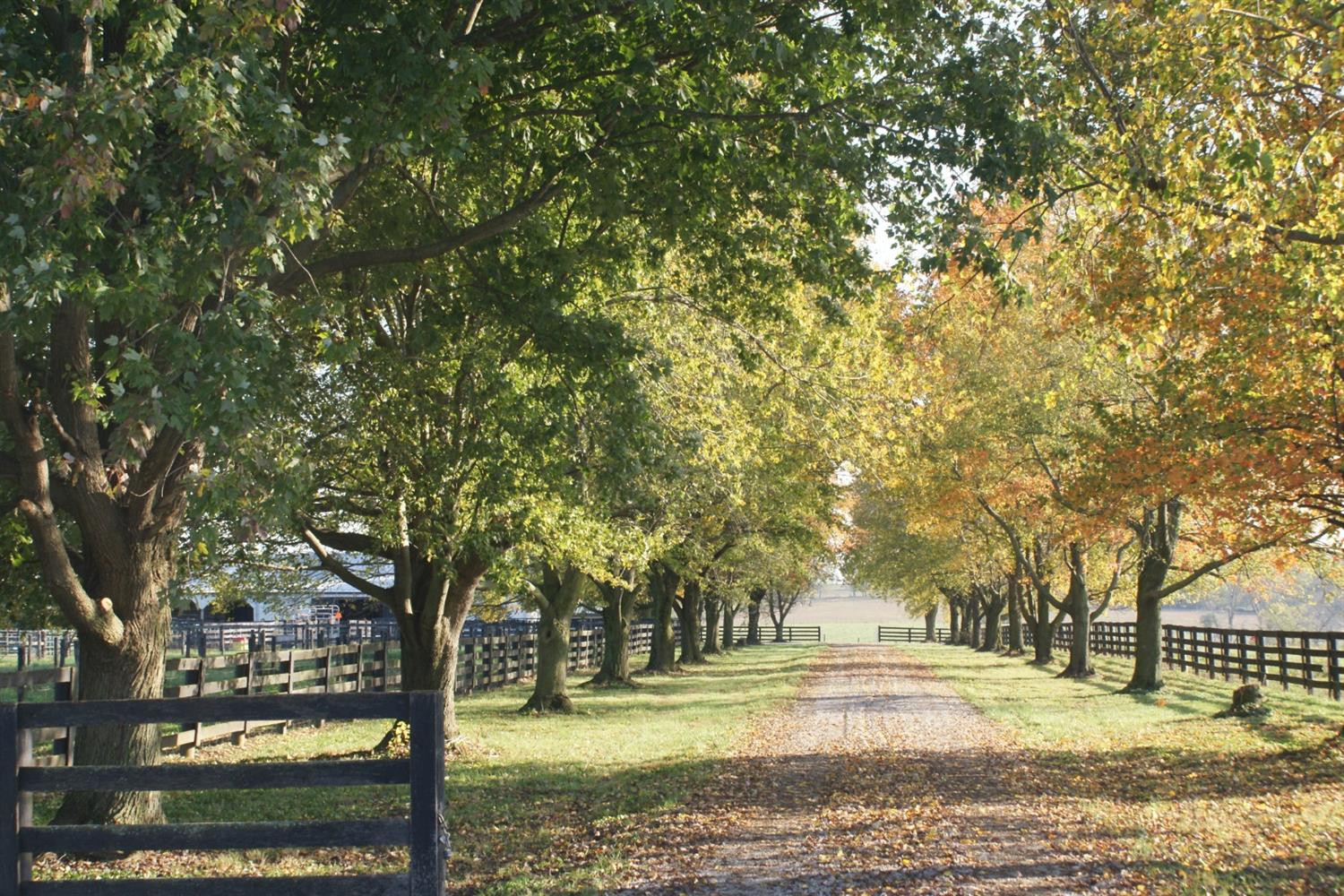 1261 Winchester Road Paris, KY 40361 - Photo 2 of 43 Photo 2