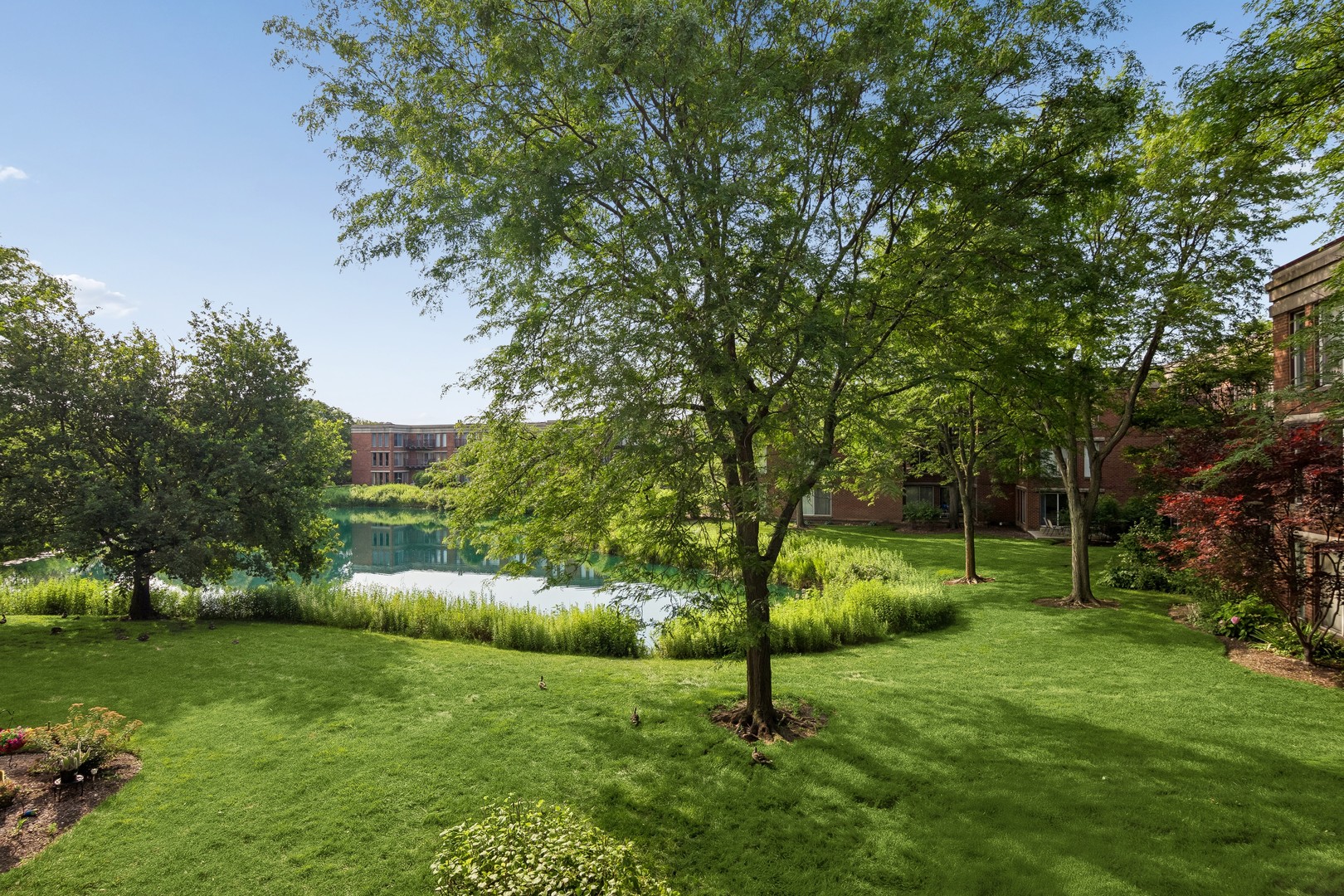 381 Kelburn Road, Unit 214 Deerfield, IL 60015 - Photo 19 of 25 Gallery Image 19