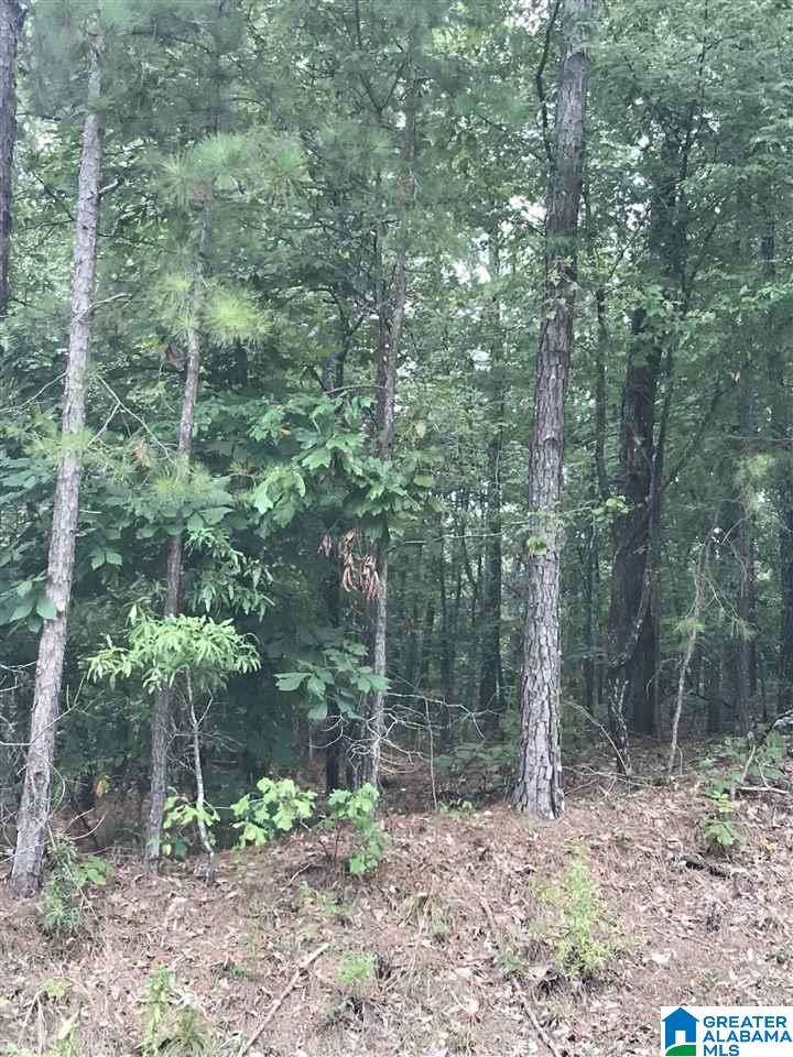 191 Highway Alpine Al, Unit 33 Alpine, AL 35014 - Photo 1 of 1