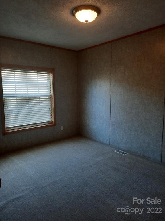 105 Wayne Lovedahl Road Cullowhee, NC 28723 - Photo 18 of 27 Gallery Image 18