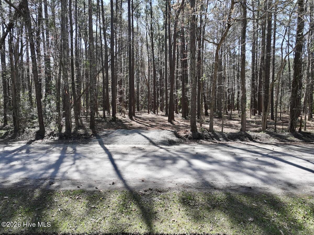1 Creek Place Road Arapahoe, NC 28510 - Photo 20 of 28 20