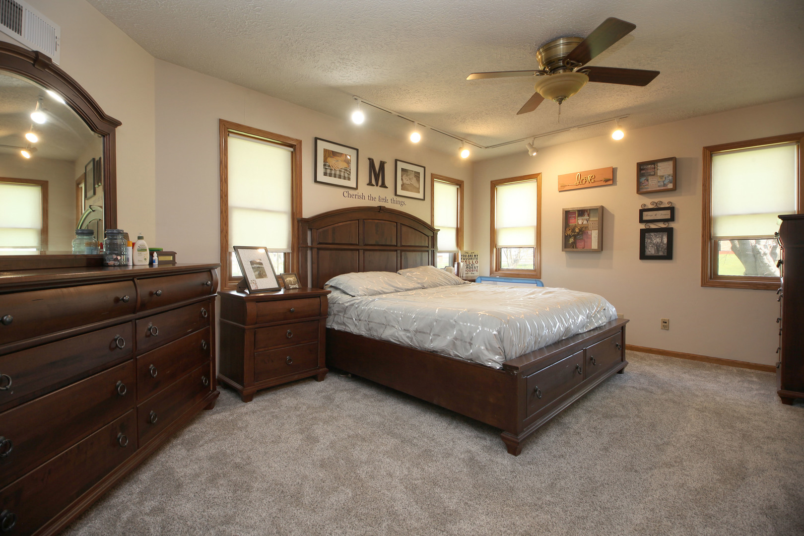 307 South Morton Street Ransom, IL 60470 - Photo 7 of 14
