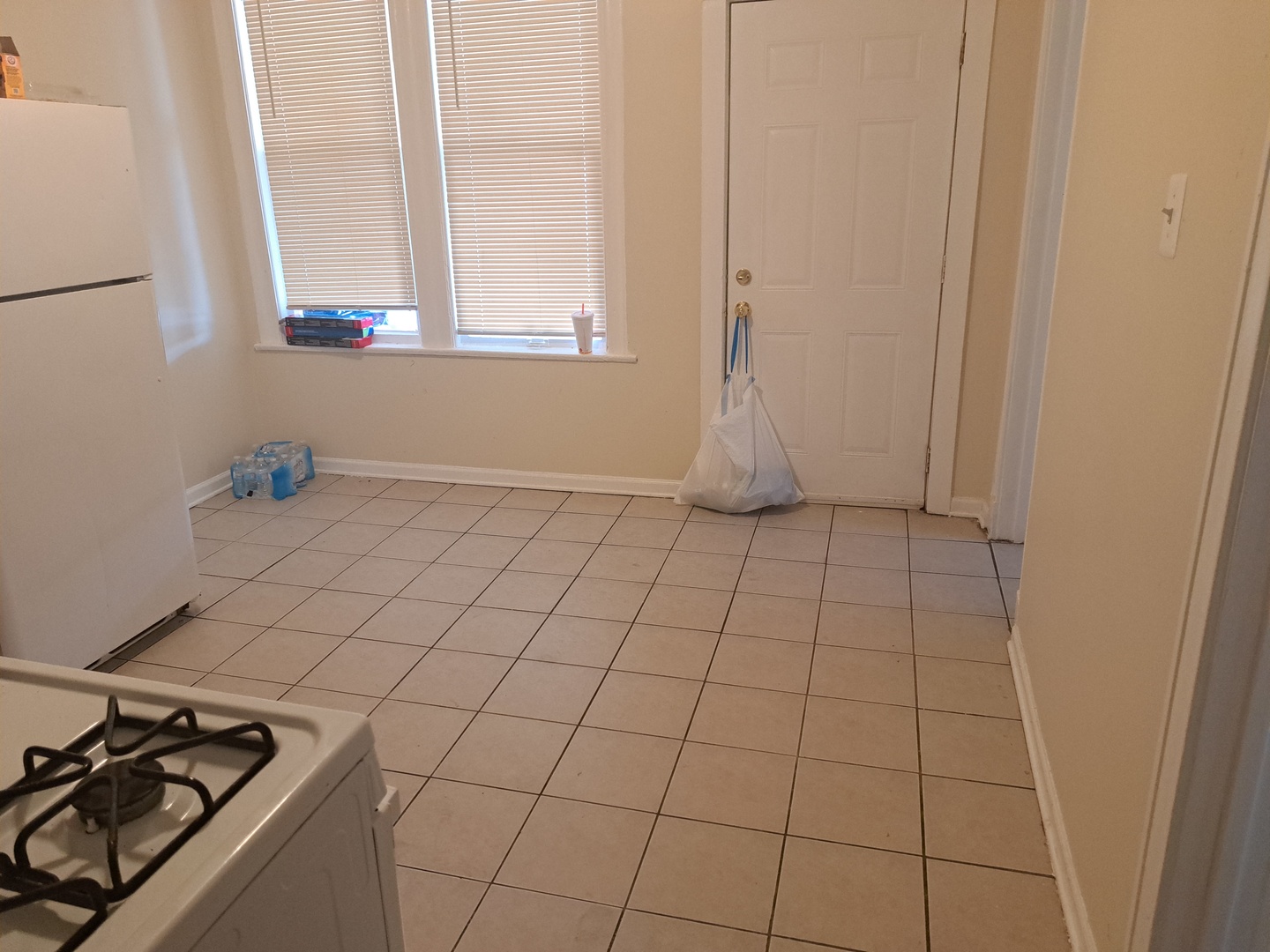 414 North Ridgeway Avenue Chicago, IL 60624 - Photo 5 of 7 Gallery Image 5