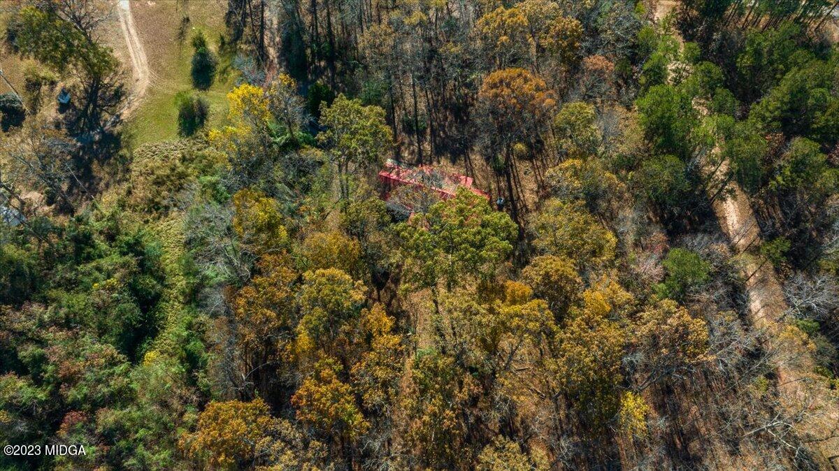 546 Old Union Gin Road Forsyth, GA 31029 - Photo 22 of 23 a view of a forest
