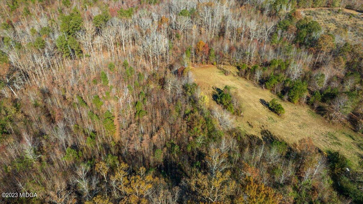 546 Old Union Gin Road Forsyth, GA 31029 - Photo 23 of 23 a view of a yard with a tree