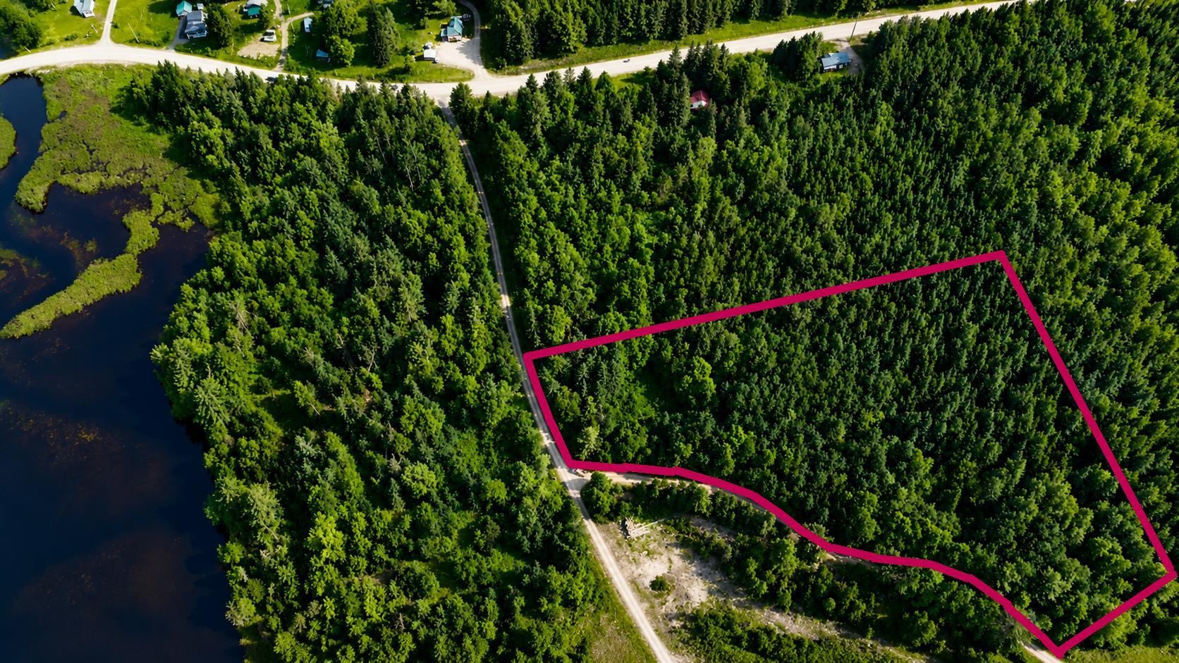 0 Boise Cascade Road Dummer, NH 03588 - Photo 17 of 17