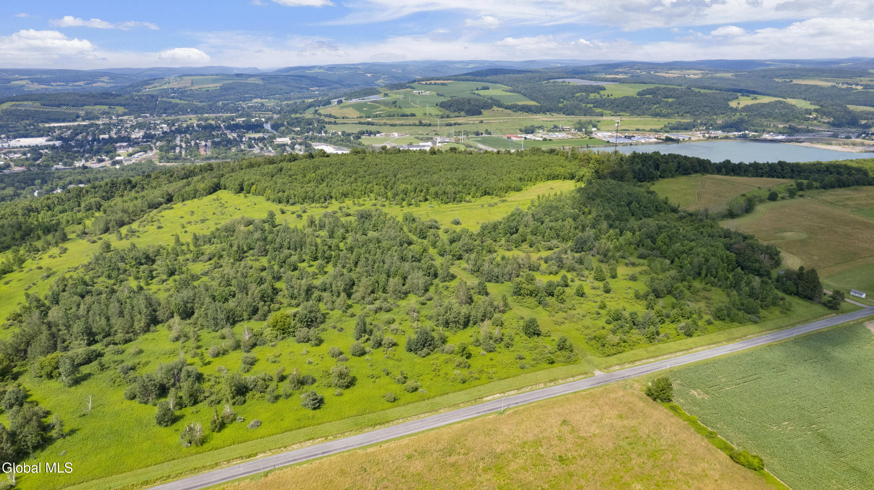 L9.1 Ahrens Road Cortland, NY 13045 - Photo 12 of 20 12