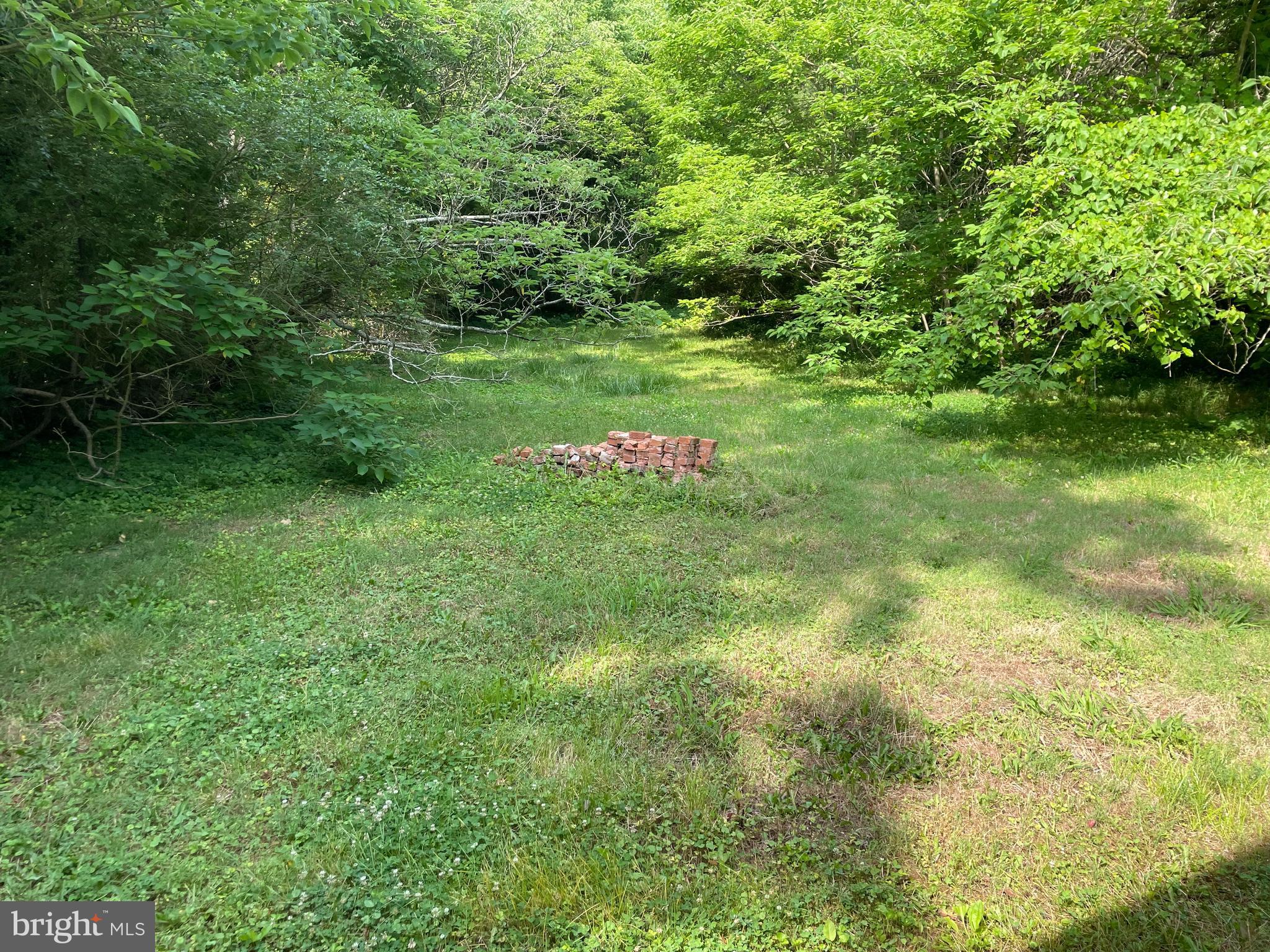 Spacious Back yard