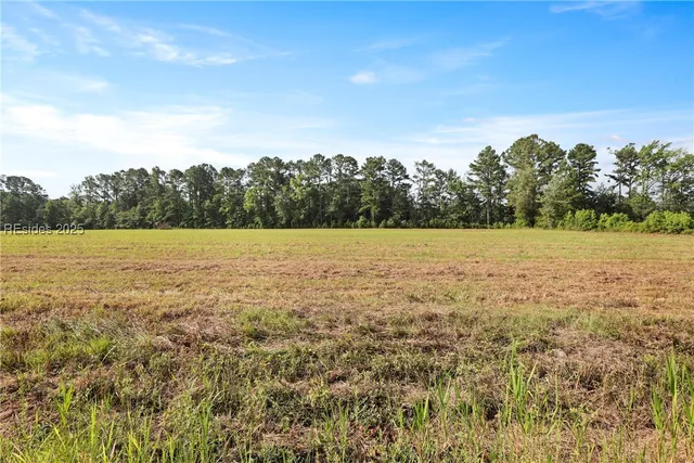 $950,000 | 654 Pleasant Hill Road, Garnett, SC 29922