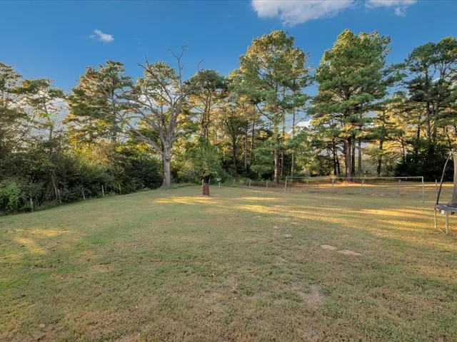 a view of a field with trees in the background