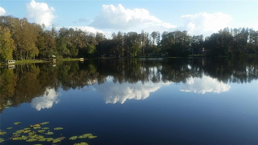 3826 Little Road Lutz, FL 33548 - Photo 1 of 1 Gallery Image 1