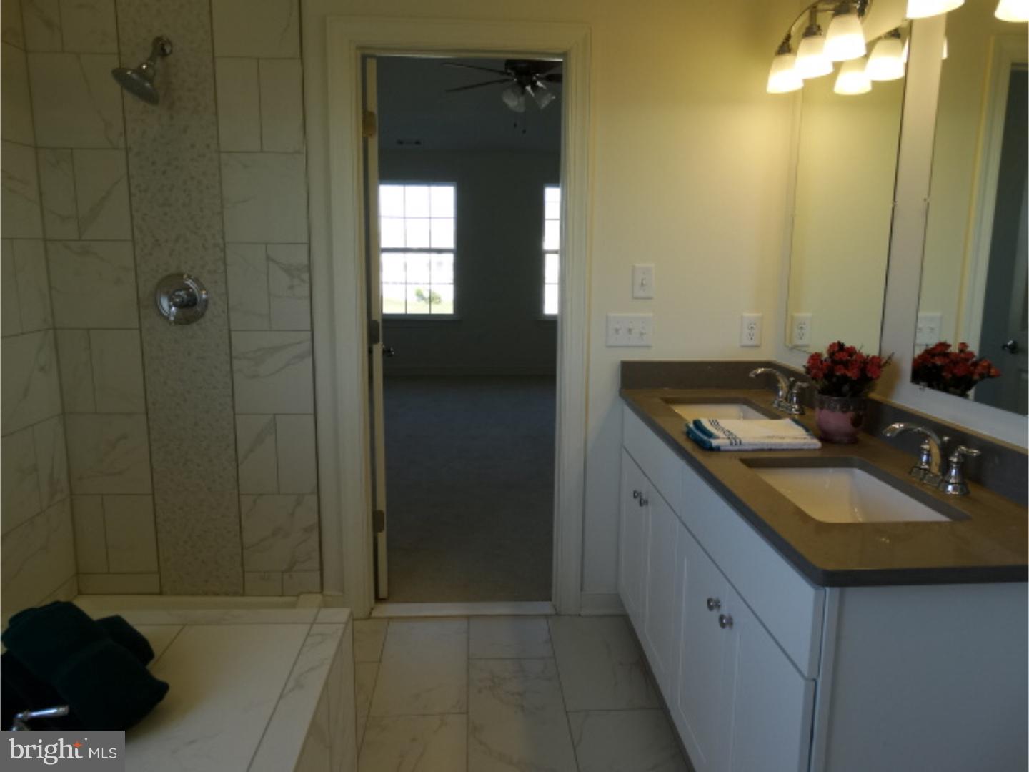 838 Windrow Way Magnolia, DE 19962 - Photo 8 of 18 Master Bathroom