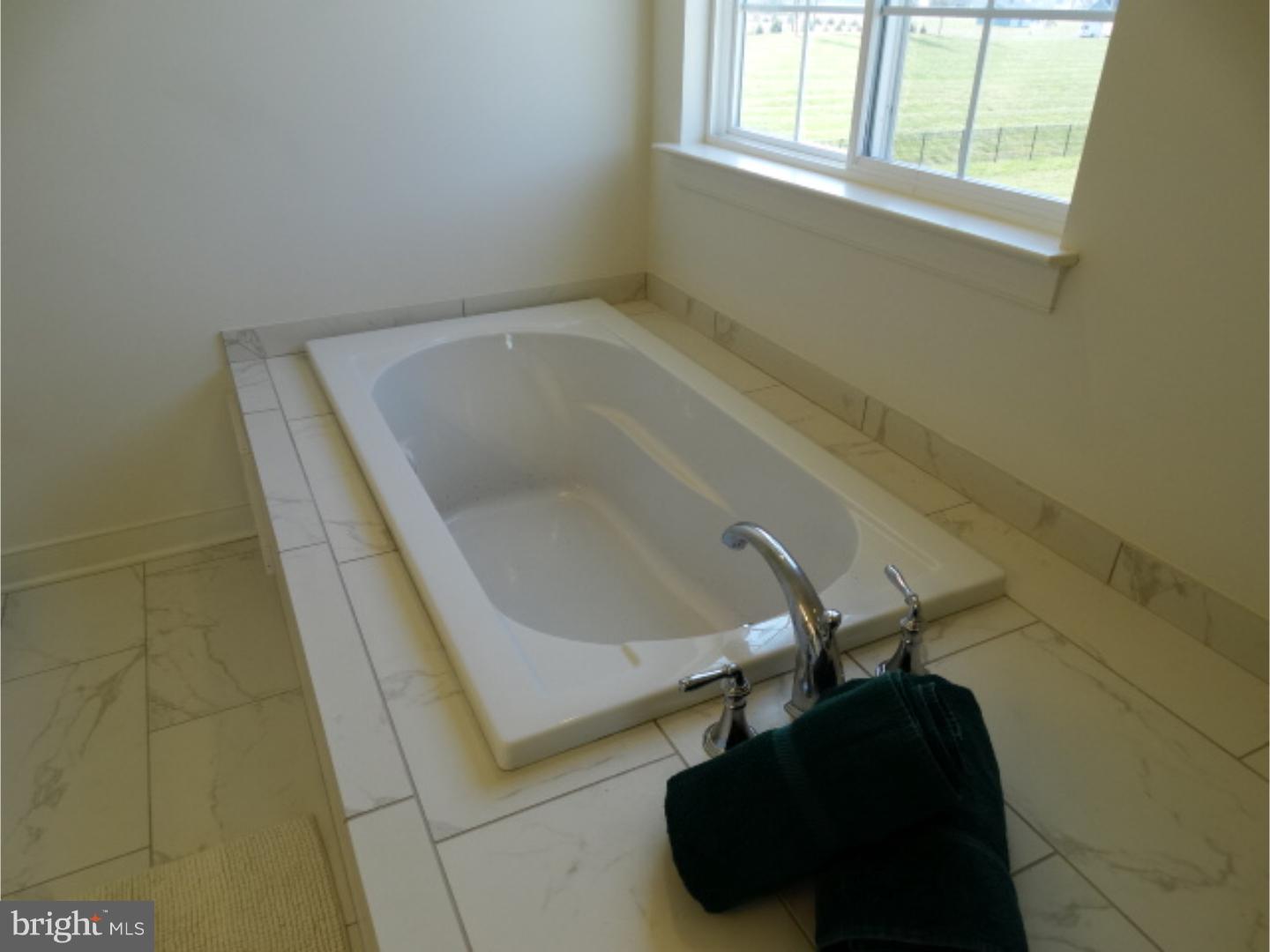 838 Windrow Way Magnolia, DE 19962 - Photo 9 of 18 Master Bathroom