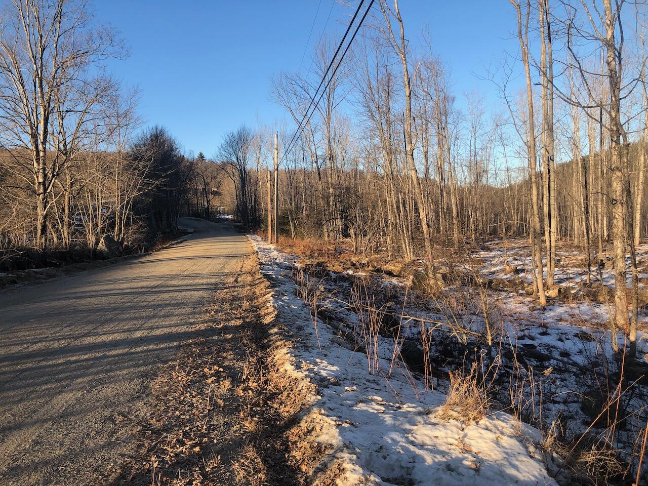 L25 Canton Mountain Road Jay, ME 04239 - Photo 10 of 25 IMG_8003