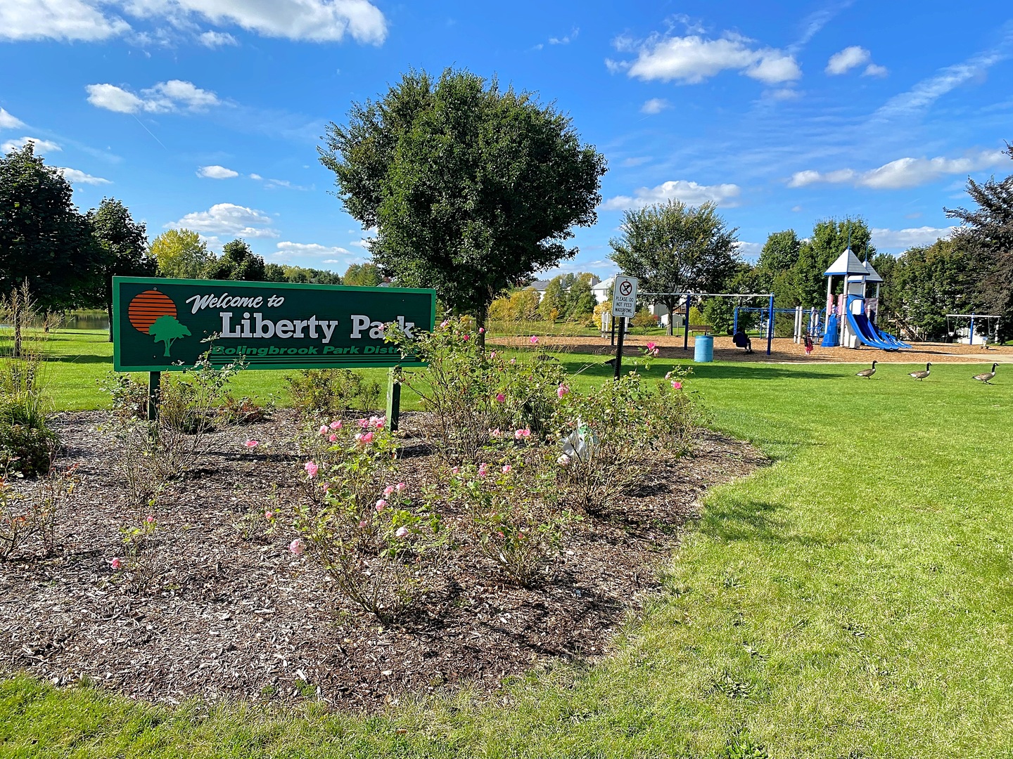 215 Berkeley Drive Bolingbrook, IL 60440 - Photo 26 of 28 a view of a park with large trees