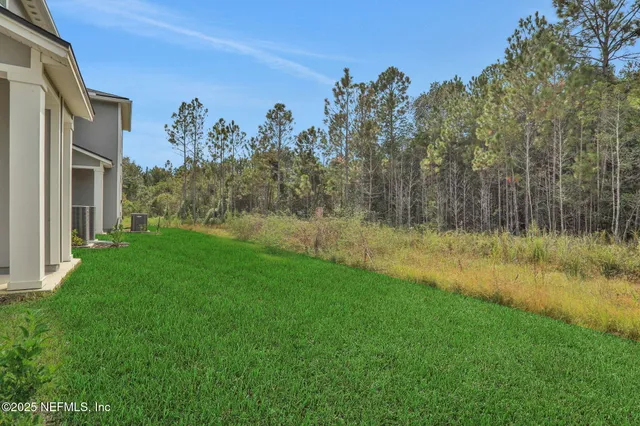 a view of a back yard