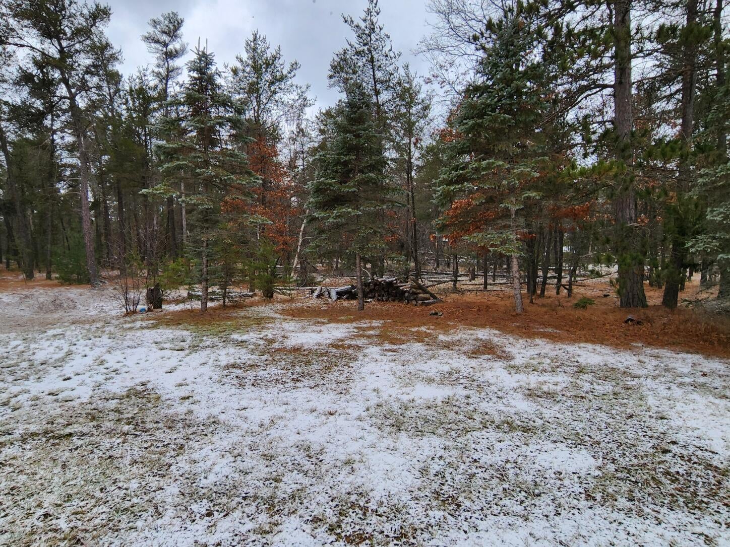10260 Hunter Lake Road Roscommon, MI 48653 - Photo 8 of 40 Gallery Image 8
