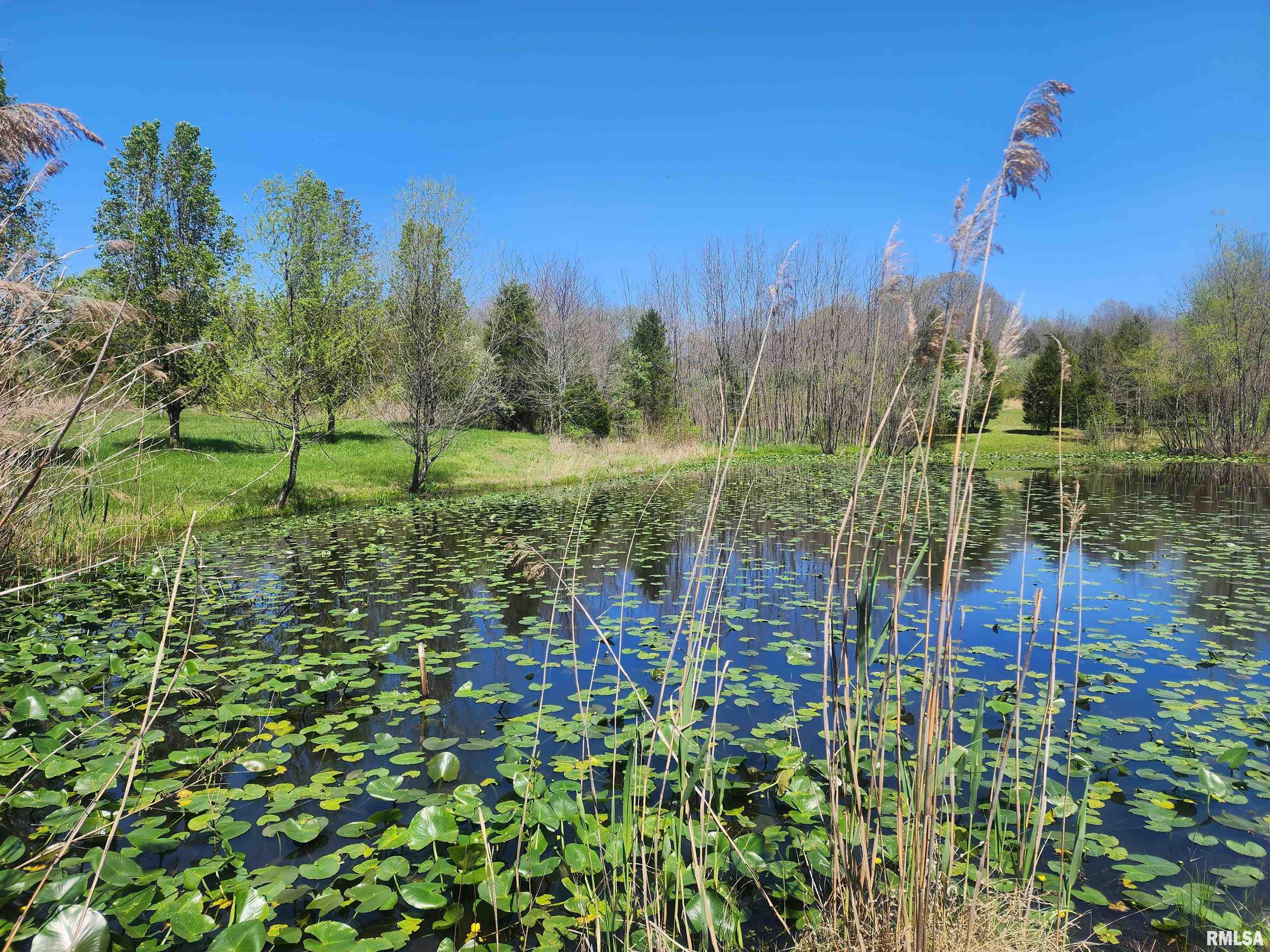 94 South Iron Furnace Road Elizabethtown, IL 62931 - Photo 7 of 25 Gallery Image 7