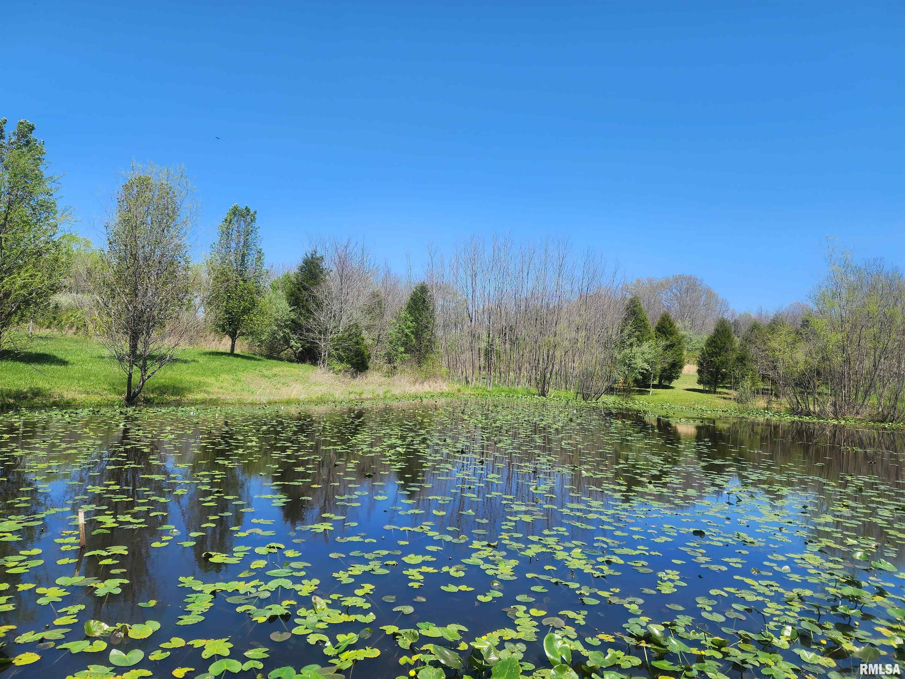 94 South Iron Furnace Road Elizabethtown, IL 62931 - Photo 8 of 25 Gallery Image 8