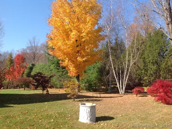 a view of a garden with a fountain