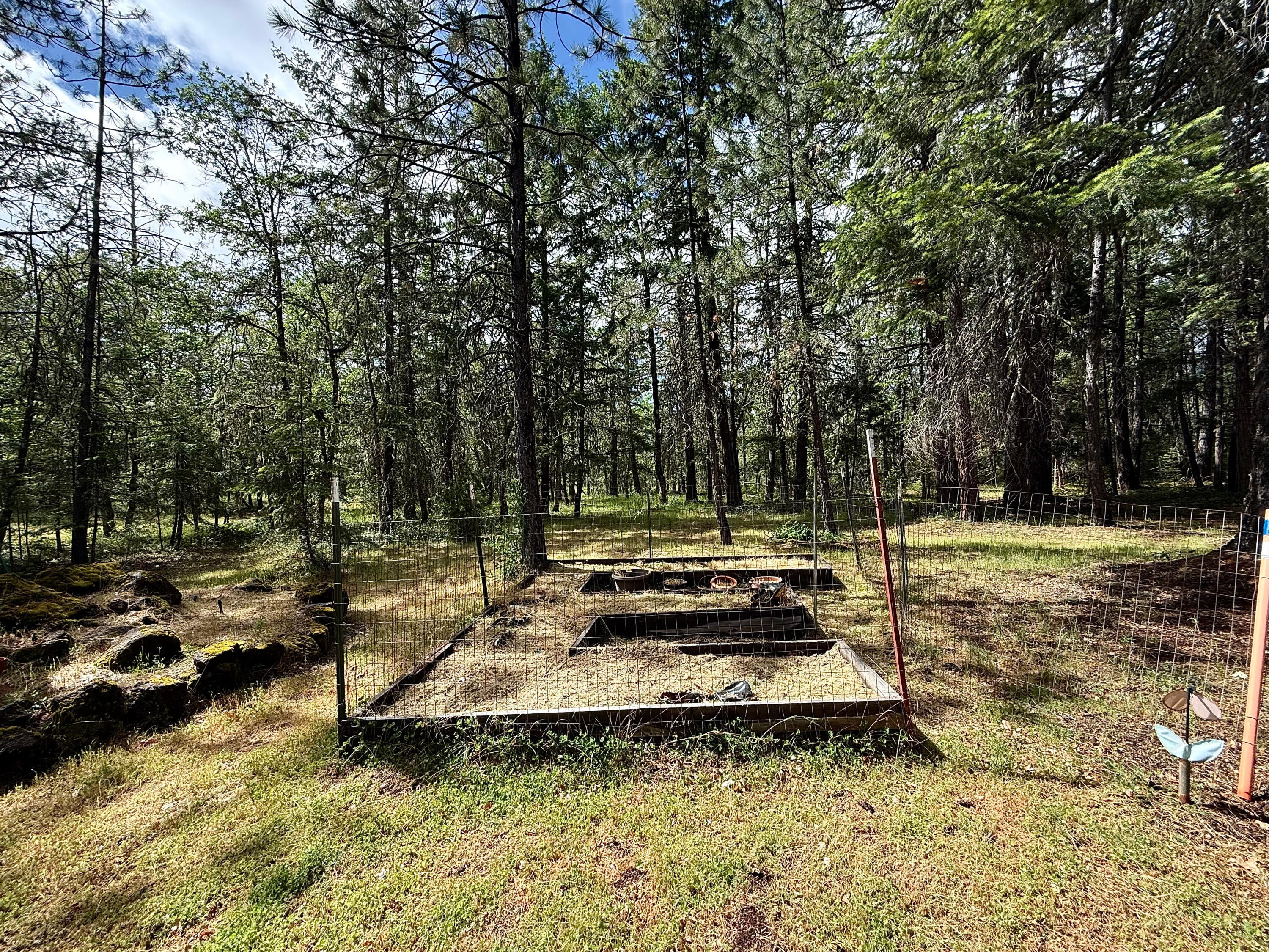 42256 Highway 62 Prospect, OR 97536 - Photo 27 of 48 a view of a park with large trees