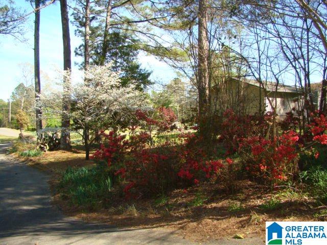 303 Hubbard Circle Anniston, AL 36206 - Photo 8 of 34