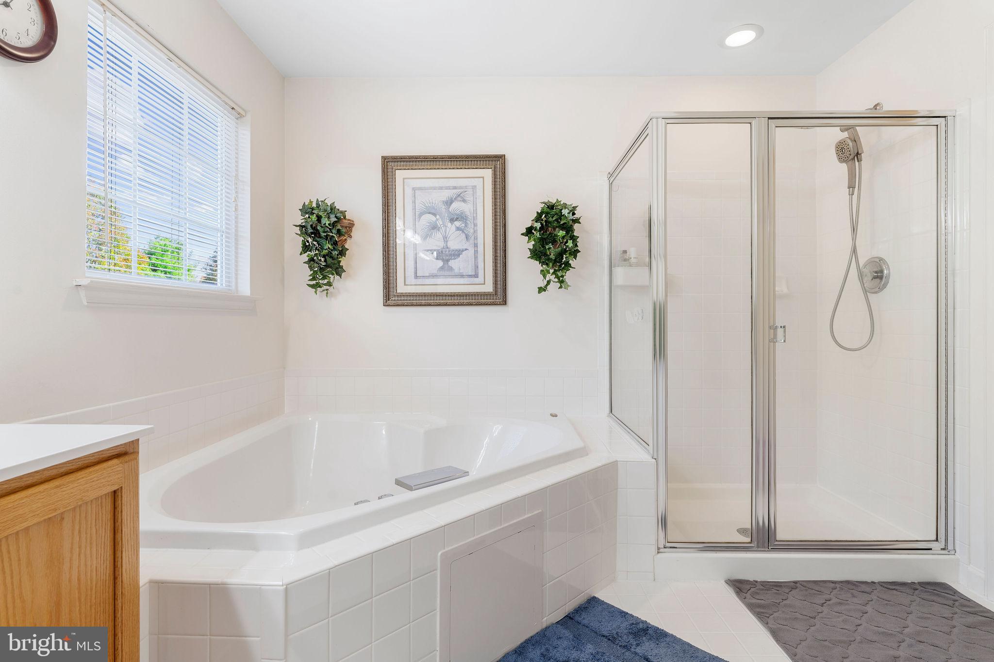 9629 Gerst Road Perry Hall, MD 21128 - Photo 26 of 51 Primary Bathroom