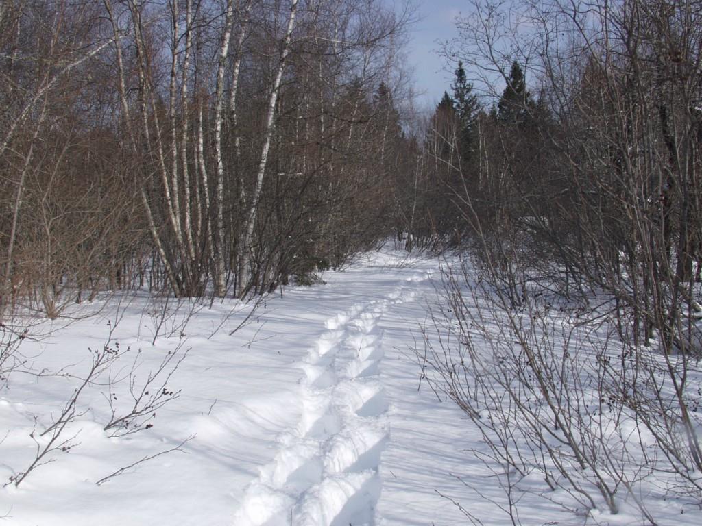 155 West Side Road Addison, ME 04606 - Photo 12 of 12 Photo