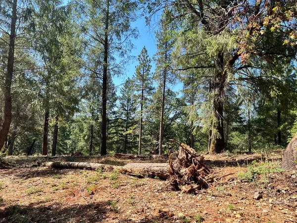 $109,000 | 43 Bottle Hill Road, Georgetown, CA 95634
