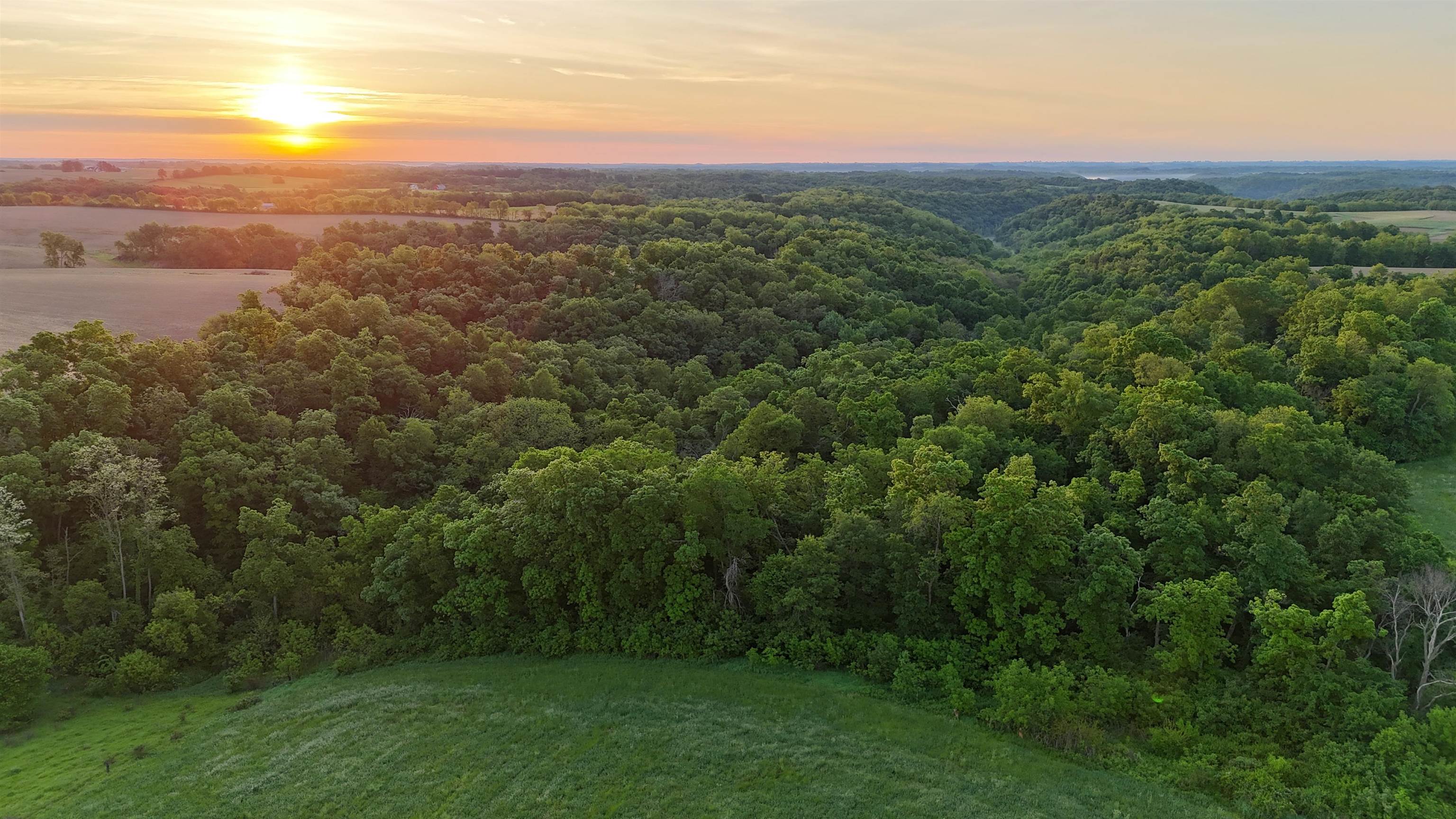 0 County T Boscobel, WI 53805 - Photo 11 of 30