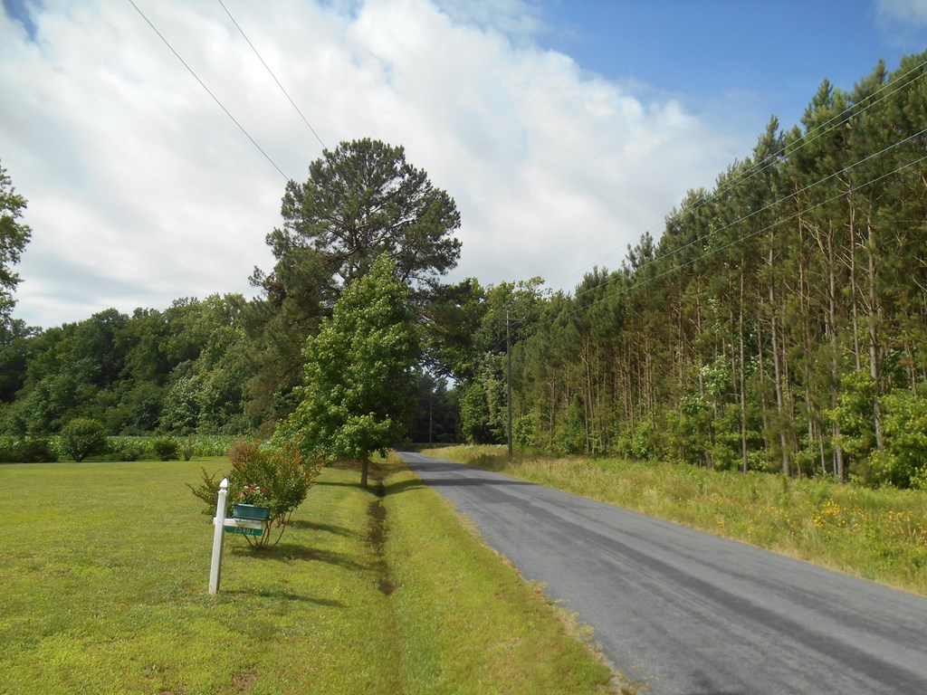 0 Logan Road Onley, VA 23418 - Photo 11 of 12